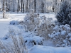 img-20250902-wa0023